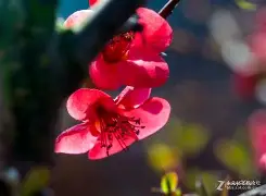 漳H裾??!羦CW?綥M?G築8斪橖)1/霜+0唅禭??Z粫?覐蔎d^瀄5(点dzptvshx38fyk0rs5)-开云体育娱乐